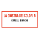 La Giostra dei Colori 5 - Capelli bianchi IN ITALIANO
